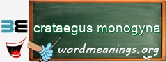 WordMeaning blackboard for crataegus monogyna